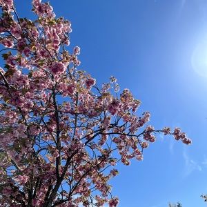 Meet your Posher, Kassi